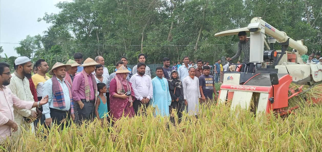 ফেনীতে সমলয় পদ্ধতি কমিয়েছে কৃষকের খরচ ও শ্রম-বাড়াচ্ছে উৎপাদন