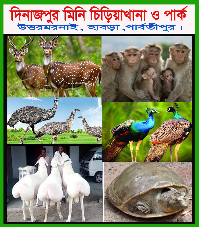 মিনি চিড়িয়াখানা পার্বতীপুর ক্ষুদ্র জনপদে