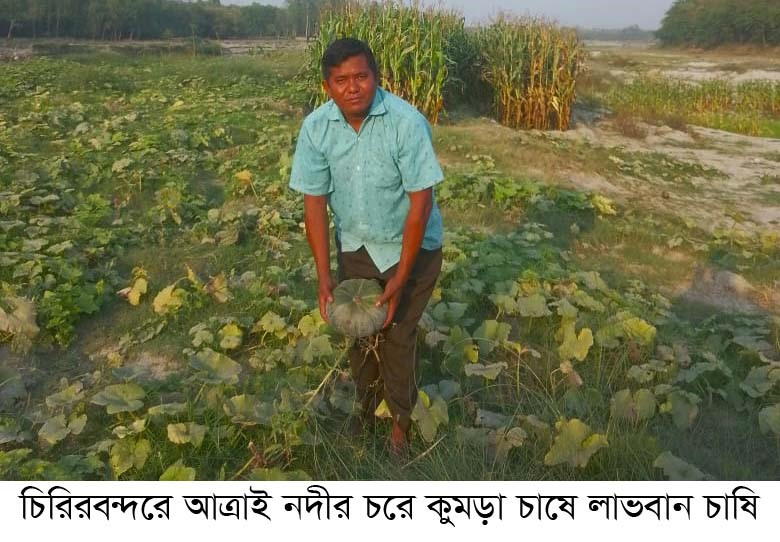 চিরিরবন্দরে আত্রাই নদীর চরে কুমড়া চাষে লাভবান চাষি চিরিরবন্দরে আত্রাই নদীর চরে কুমড়া চাষে লাভবান চাষি